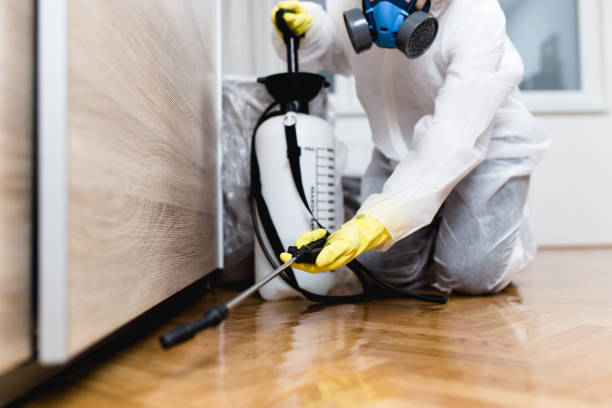 Best Affordable Pest Control Services  in Vestavia Hills, AL