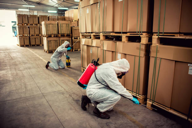Professional Pest Control in Vestavia Hills, AL