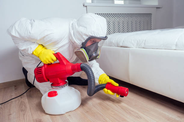 Pest Prevention Services in Vestavia Hills, AL