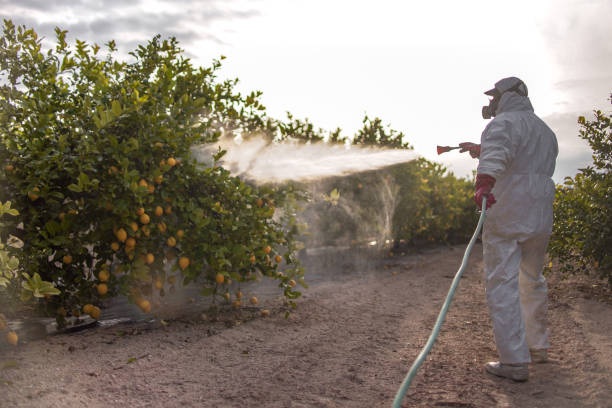 Best Pest Control Near Me  in Vestavia Hills, AL