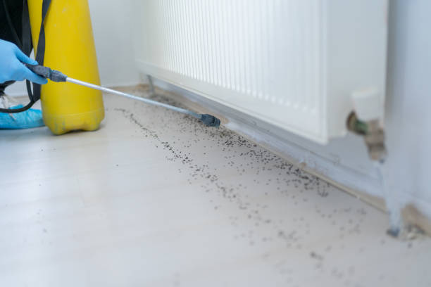 Best Flea Control Services  in Vestavia Hills, AL